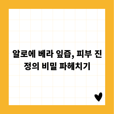 알로에 베라 잎즙, 피부 진정의 비밀 파헤치기