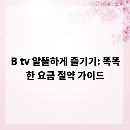 B tv 알뜰하게 즐기기: 똑똑한 요금 절약 가이드