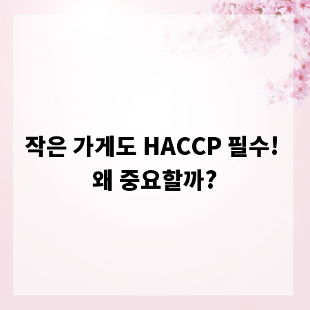 작은 가게도 HACCP 필수! 왜 중요할까?