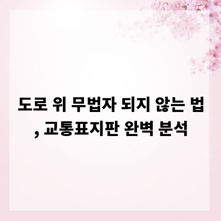 도로 위 무법자 되지 않는 법, 교통표지판 완벽 분석
