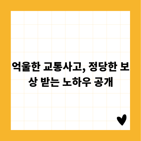 억울한 교통사고, 정당한 보상 받는 노하우 공개