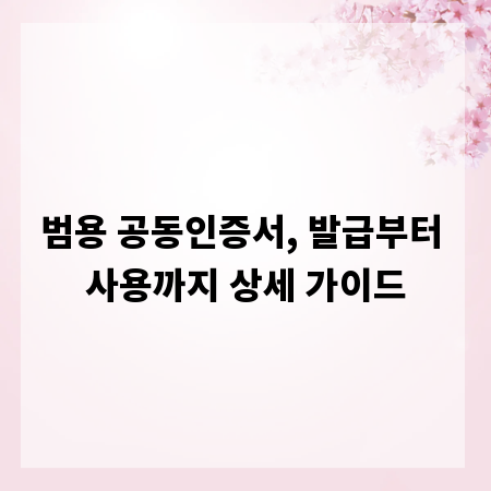 범용 공동인증서, 발급부터 사용까지 상세 가이드