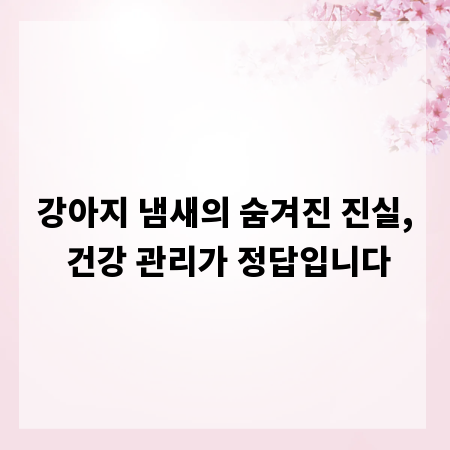 강아지 냄새의 숨겨진 진실, 건강 관리가 정답입니다