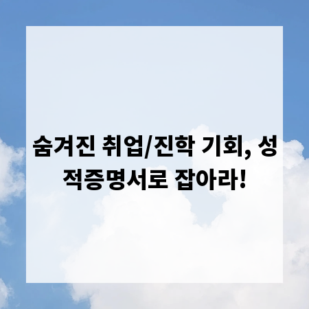 숨겨진 취업/진학 기회, 성적증명서로 잡아라!
