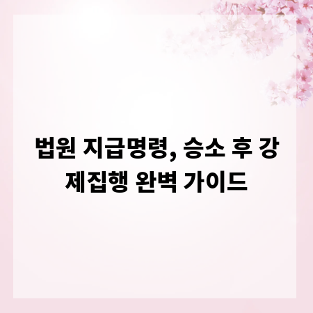 법원 지급명령, 승소 후 강제집행 완벽 가이드