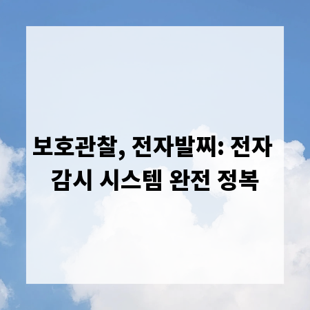 보호관찰, 전자발찌: 전자 감시 시스템 완전 정복
