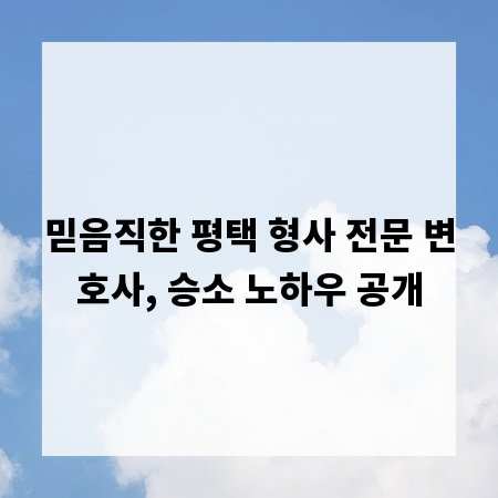 믿음직한 평택 형사 전문 변호사, 승소 노하우 공개