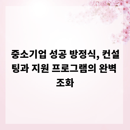 중소기업 성공 방정식, 컨설팅과 지원 프로그램의 완벽 조화