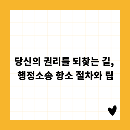 당신의 권리를 되찾는 길, 행정소송 항소 절차와 팁