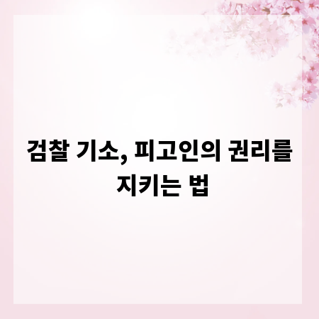 검찰 기소, 피고인의 권리를 지키는 법