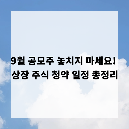 9월 공모주 놓치지 마세요! 상장 주식 청약 일정 총정리