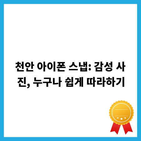 천안 아이폰 스냅: 감성 사진, 누구나 쉽게 따라하기