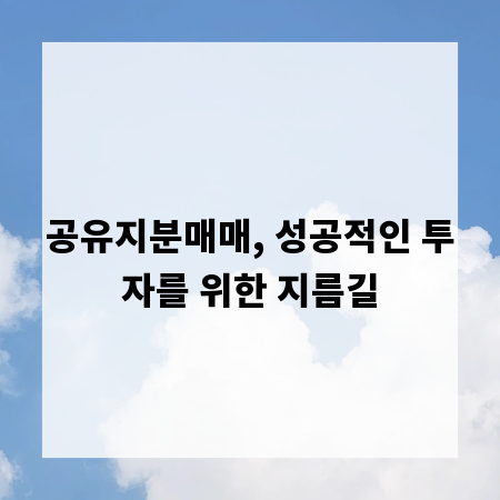 공유지분매매, 성공적인 투자를 위한 지름길