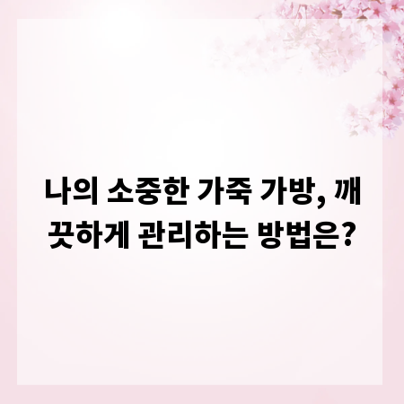 나의 소중한 가죽 가방, 깨끗하게 관리하는 방법은?