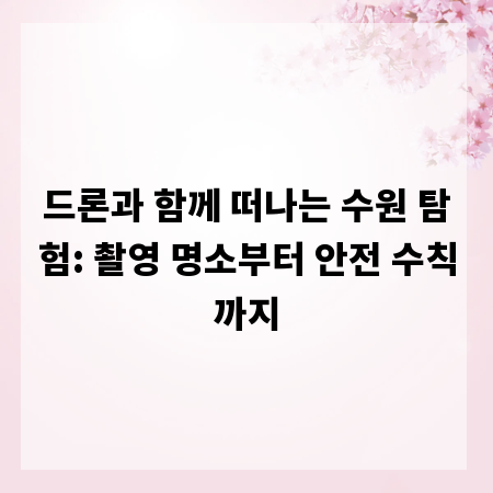 드론과 함께 떠나는 수원 탐험: 촬영 명소부터 안전 수칙까지