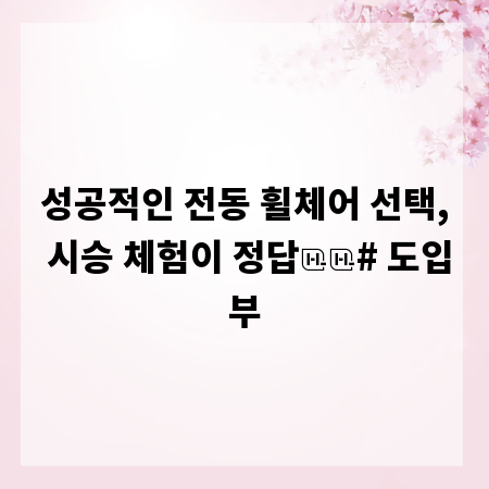 성공적인 전동 휠체어 선택, 시승 체험이 정답

# 도입부