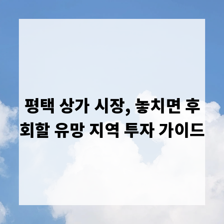 평택 상가 시장, 놓치면 후회할 유망 지역 투자 가이드