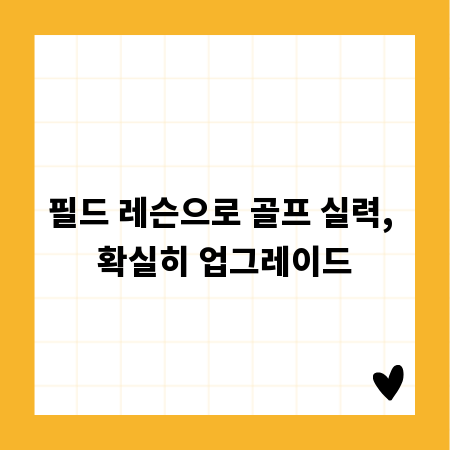 필드 레슨으로 골프 실력, 확실히 업그레이드