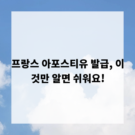 프랑스 아포스티유 발급, 이것만 알면 쉬워요!