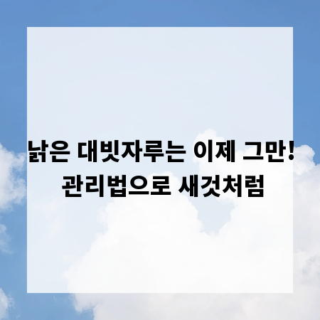 낡은 대빗자루는 이제 그만! 관리법으로 새것처럼