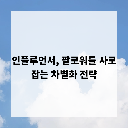 인플루언서, 팔로워를 사로잡는 차별화 전략