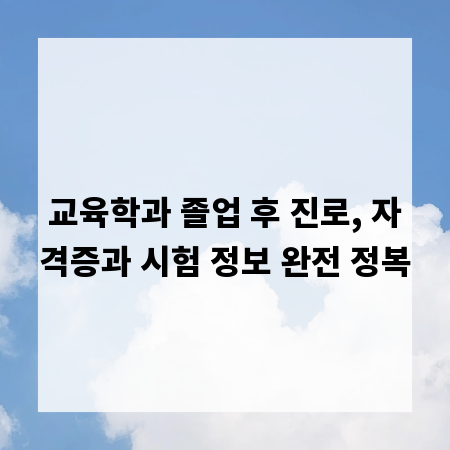 교육학과 졸업 후 진로, 자격증과 시험 정보 완전 정복