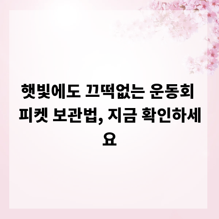 햇빛에도 끄떡없는 운동회 피켓 보관법, 지금 확인하세요