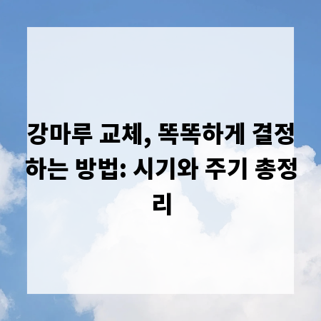 강마루 교체, 똑똑하게 결정하는 방법: 시기와 주기 총정리