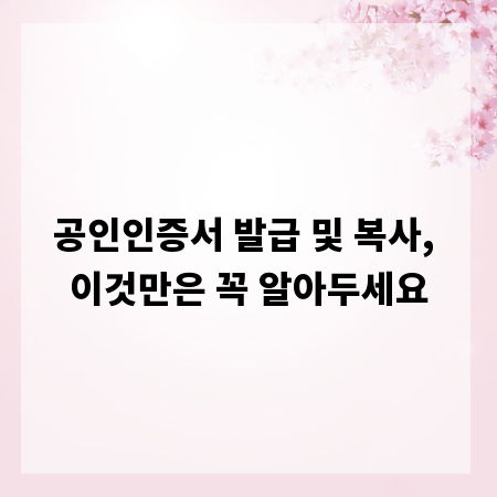 공인인증서 발급 및 복사, 이것만은 꼭 알아두세요