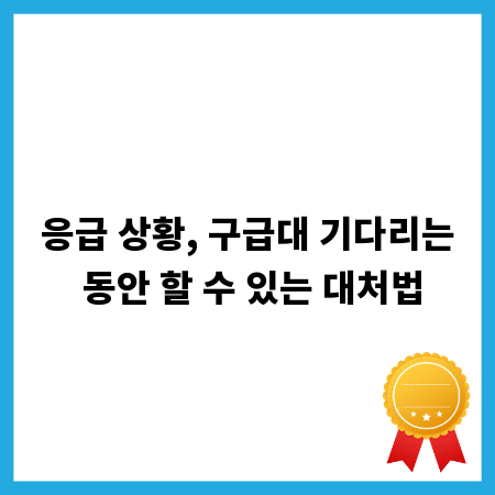응급 상황, 구급대 기다리는 동안 할 수 있는 대처법