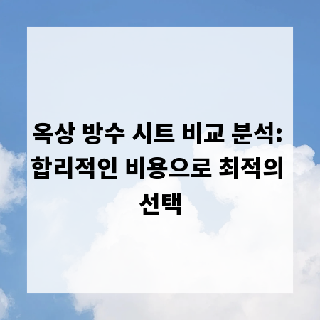 옥상 방수 시트 비교 분석: 합리적인 비용으로 최적의 선택