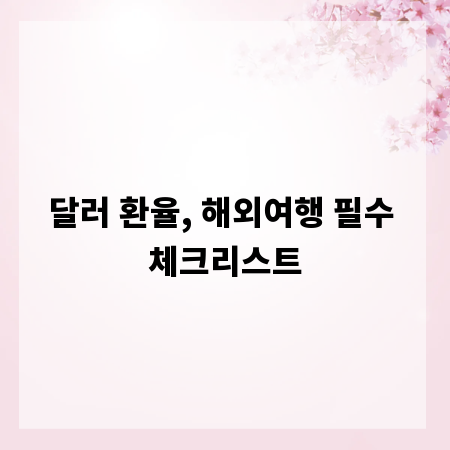 달러 환율, 해외여행 필수 체크리스트
