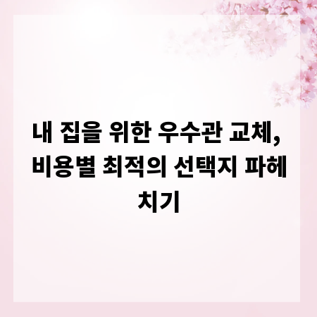 내 집을 위한 우수관 교체, 비용별 최적의 선택지 파헤치기