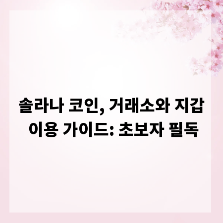 솔라나 코인, 거래소와 지갑 이용 가이드: 초보자 필독