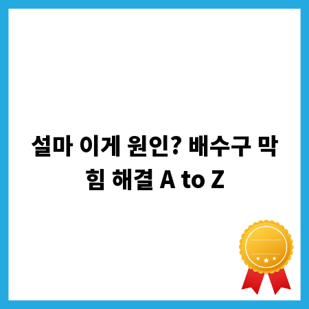 설마 이게 원인? 배수구 막힘 해결 A to Z