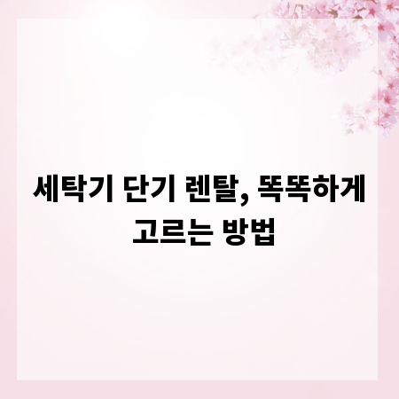 세탁기 단기 렌탈, 똑똑하게 고르는 방법