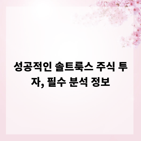 성공적인 솔트룩스 주식 투자, 필수 분석 정보