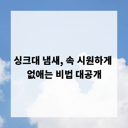 싱크대 냄새, 속 시원하게 없애는 비법 대공개