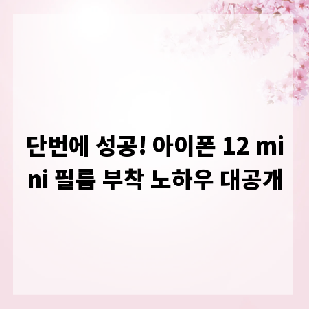 단번에 성공! 아이폰 12 mini 필름 부착 노하우 대공개