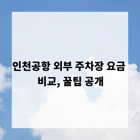 인천공항 외부 주차장 요금 비교, 꿀팁 공개