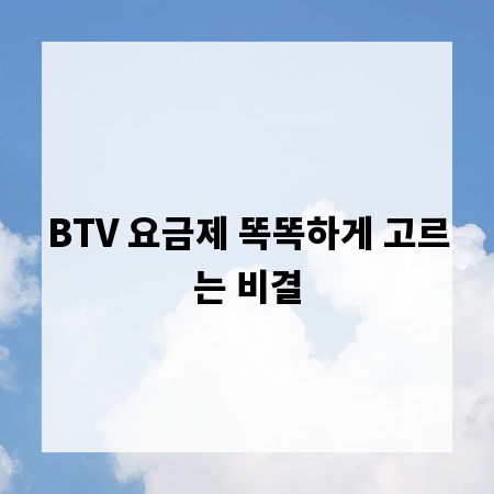 BTV 요금제 똑똑하게 고르는 비결