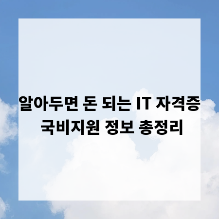 알아두면 돈 되는 IT 자격증 국비지원 정보 총정리
