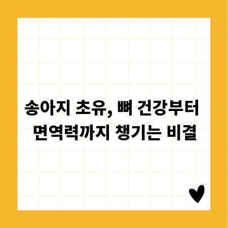 송아지 초유, 뼈 건강부터 면역력까지 챙기는 비결