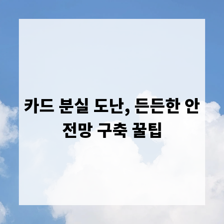 카드 분실 도난, 든든한 안전망 구축 꿀팁