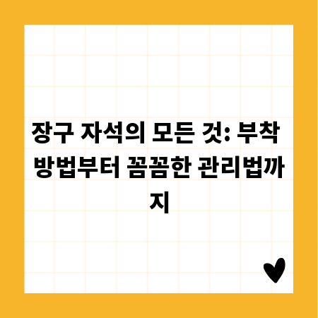 장구 자석의 모든 것: 부착 방법부터 꼼꼼한 관리법까지