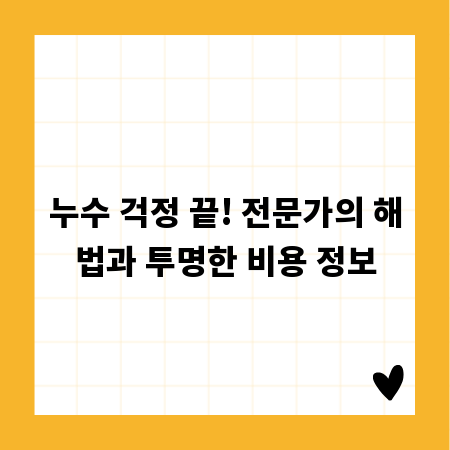누수 걱정 끝! 전문가의 해법과 투명한 비용 정보