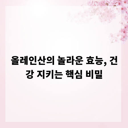 올레인산의 놀라운 효능, 건강 지키는 핵심 비밀