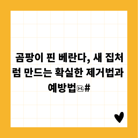 곰팡이 핀 베란다, 새 집처럼 만드는 확실한 제거법과 예방법
#
