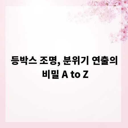 등박스 조명, 분위기 연출의 비밀 A to Z
