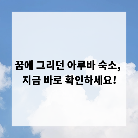 꿈에 그리던 아루바 숙소, 지금 바로 확인하세요!